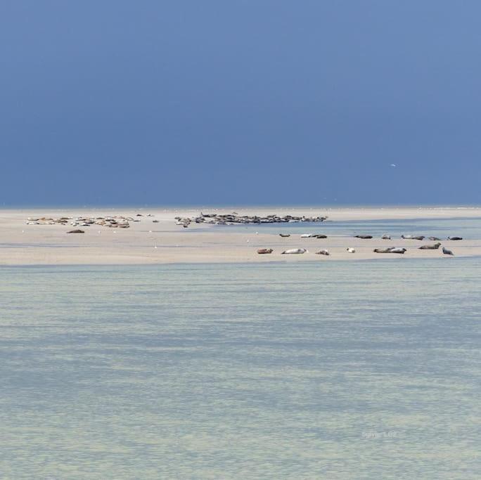 Vue Mer Berck المظهر الخارجي الصورة